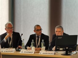 IGS Italy Symposium Deepens Understanding On Landslide Mitigation Using ...